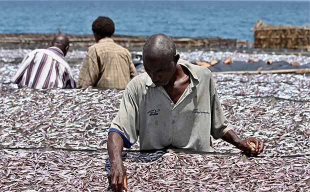 Traditional Fishing Techniques