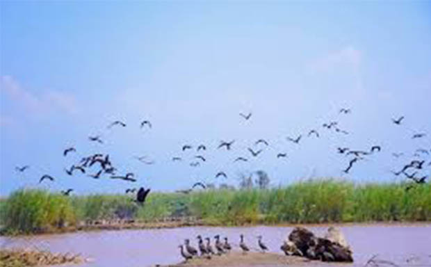 Birdwatching in Rusizi