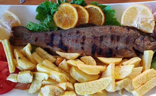 Fresh Catch from Lake Tanganyika