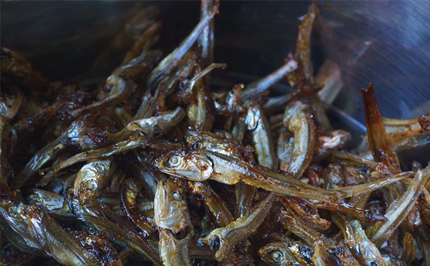 Ndagala Fish