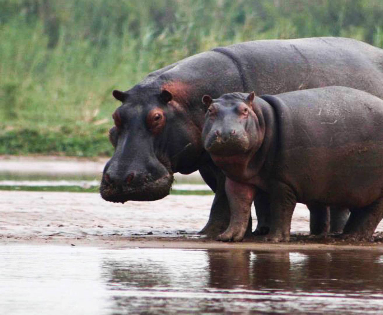 Rusizi National Park